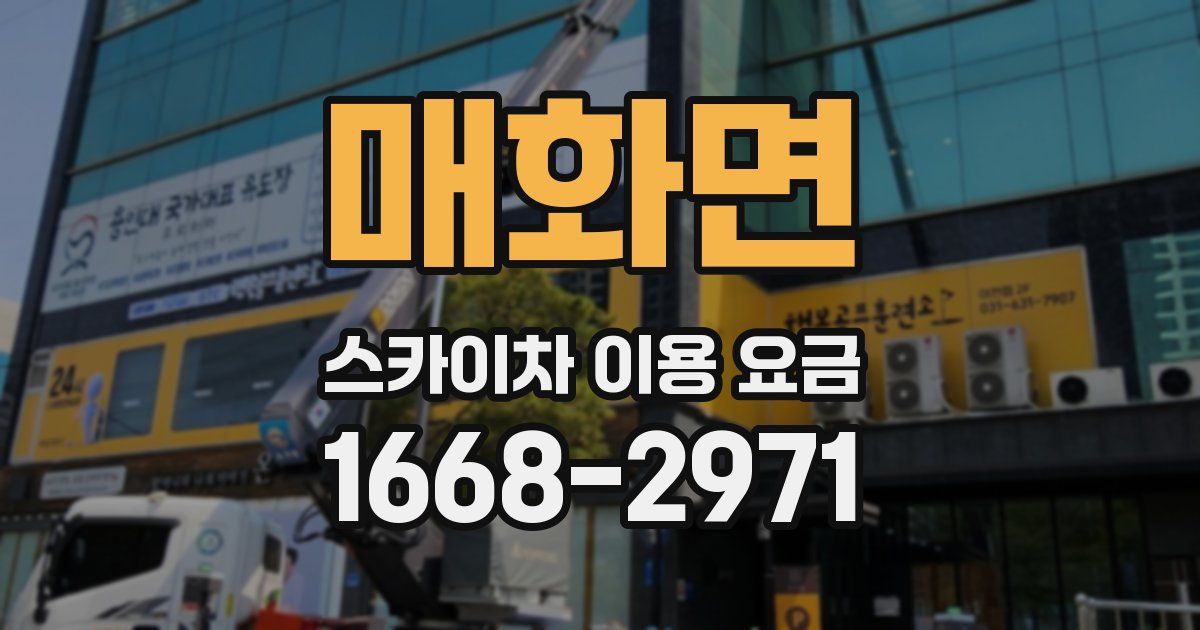 매화면 스카이차 이용 요금