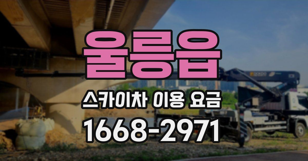 울릉읍 스카이차 이용 요금
