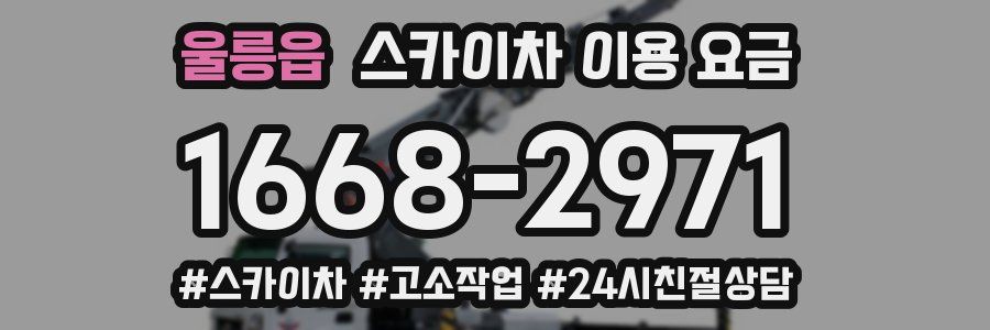 울릉읍 스카이차 이용 요금