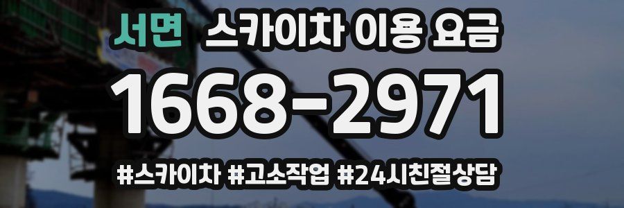 서면 스카이차 이용 요금
