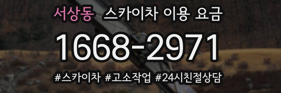 서상동 스카이차 이용 요금