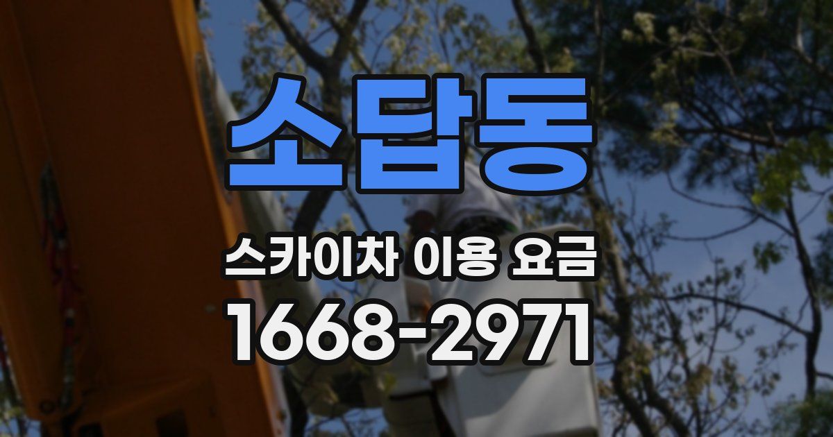 소답동 스카이차 이용 요금
