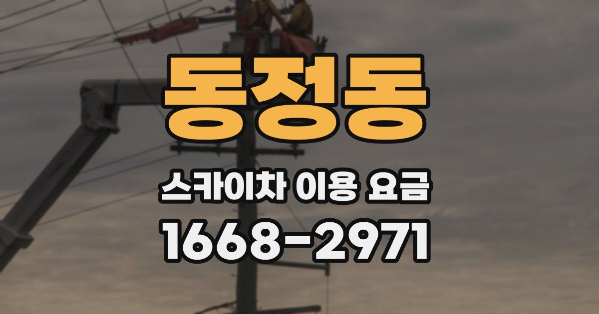 동정동 스카이차 이용 요금