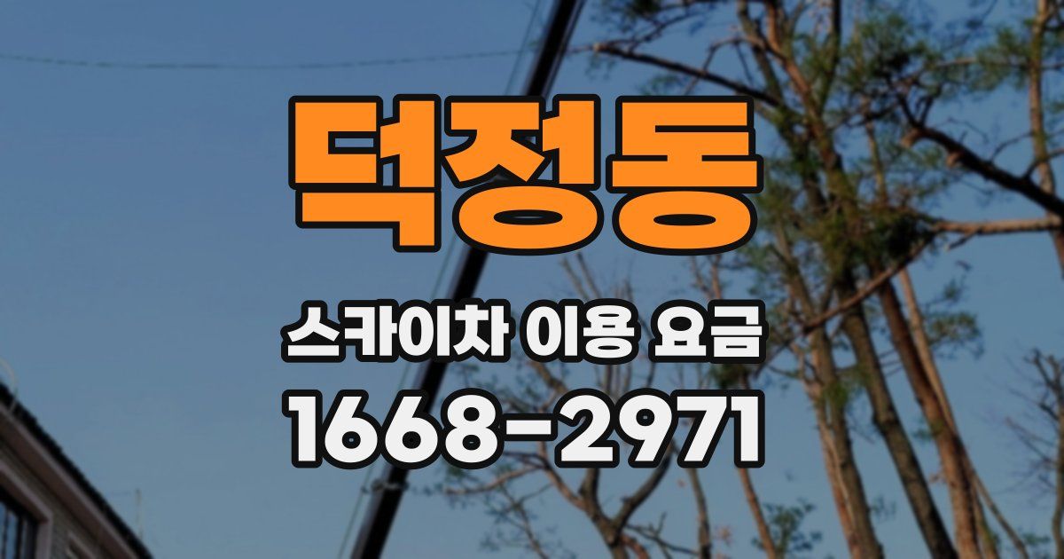 덕정동 스카이차 이용 요금