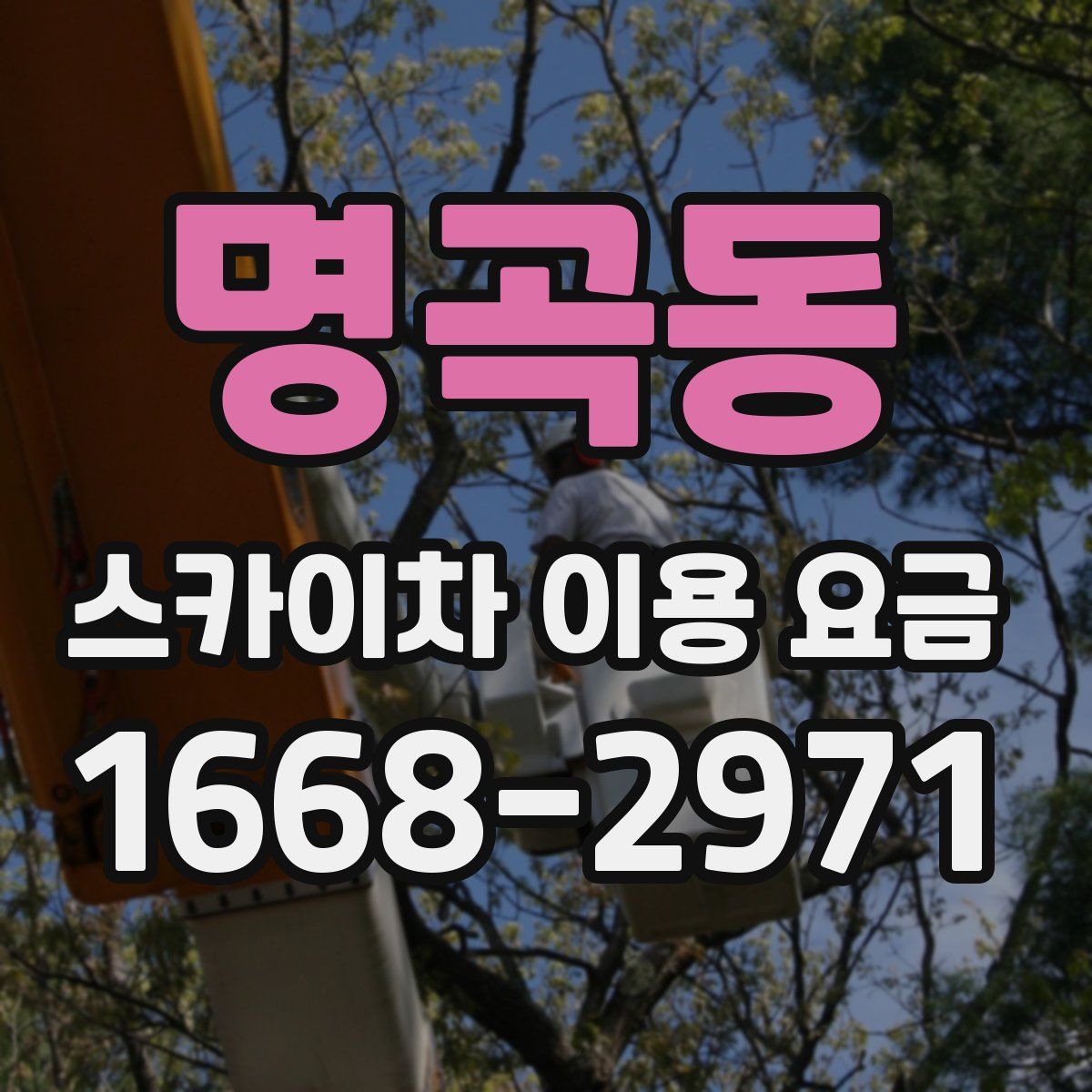 명곡동 스카이차 이용 요금