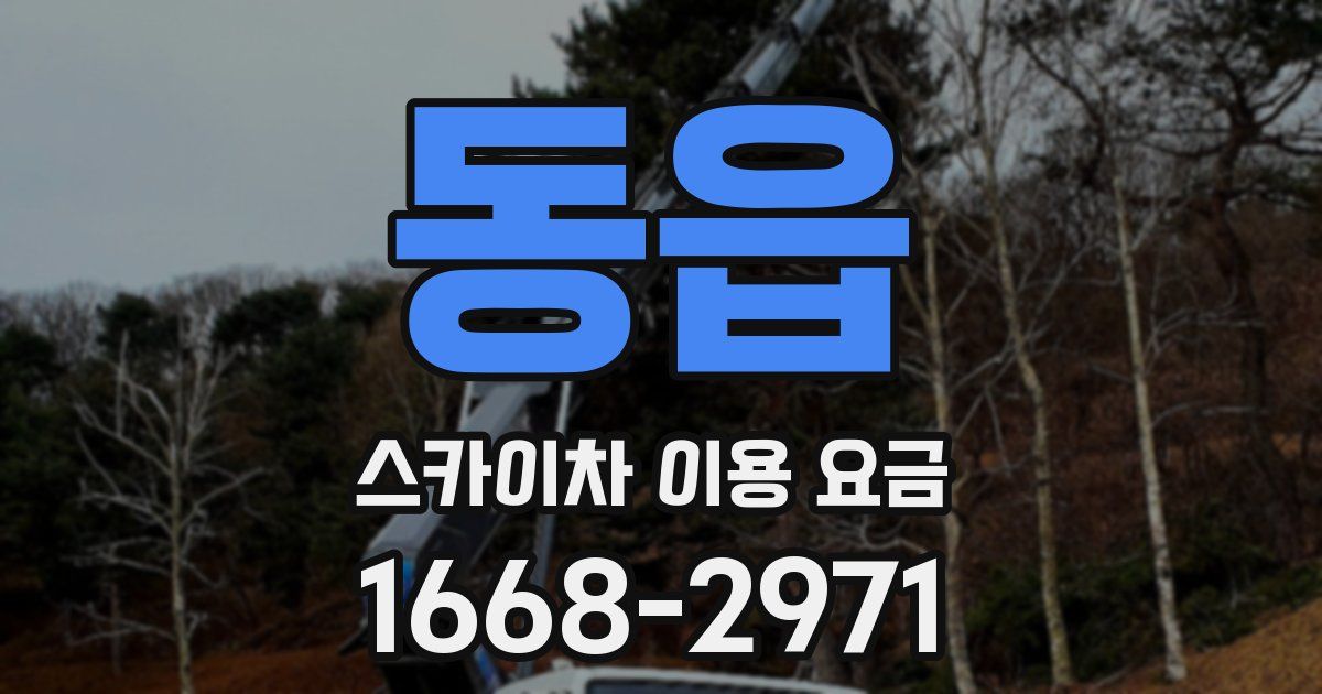 동읍 스카이차 이용 요금