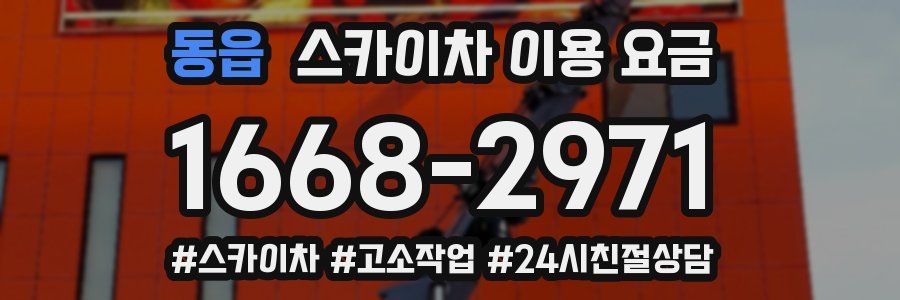 동읍 스카이차 이용 요금