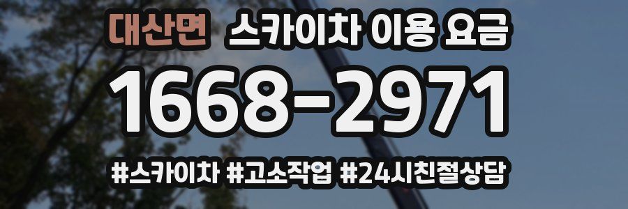 대산면 스카이차 이용 요금