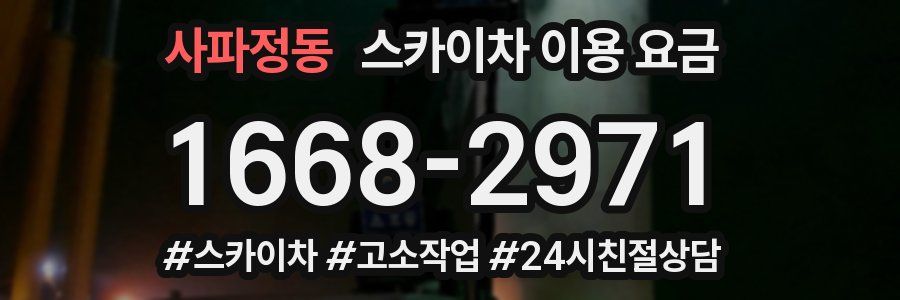 사파정동 스카이차 이용 요금