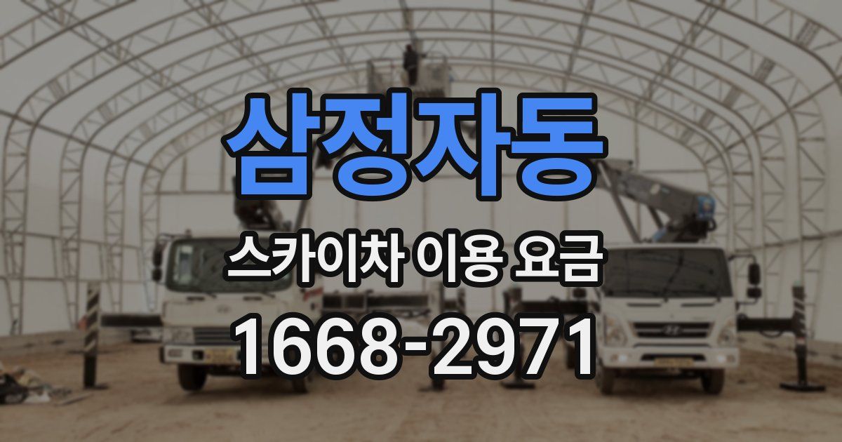 삼정자동 스카이차 이용 요금
