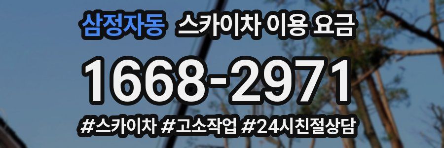 삼정자동 스카이차 이용 요금