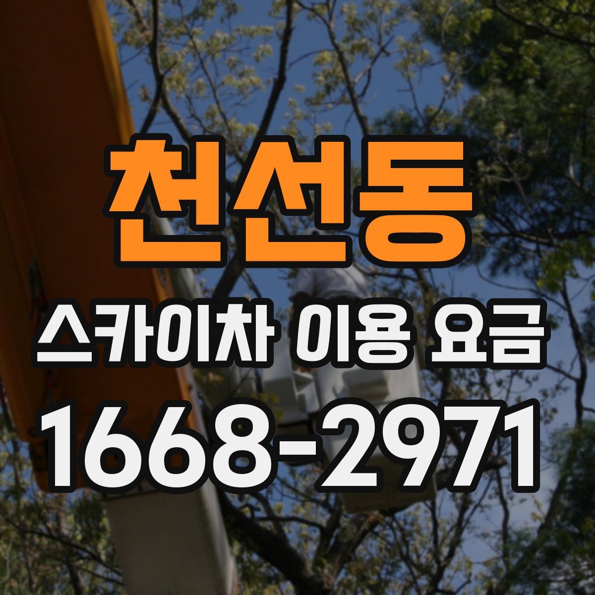 천선동 스카이차 이용 요금
