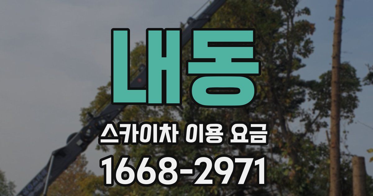 내동 스카이차 이용 요금
