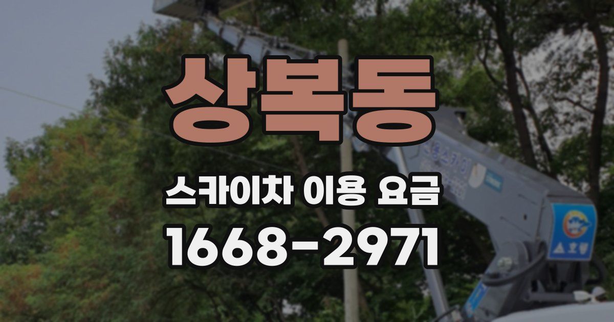 상복동 스카이차 이용 요금