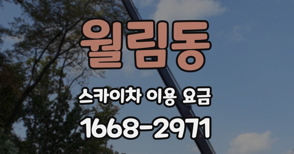 월림동 스카이차 이용 요금