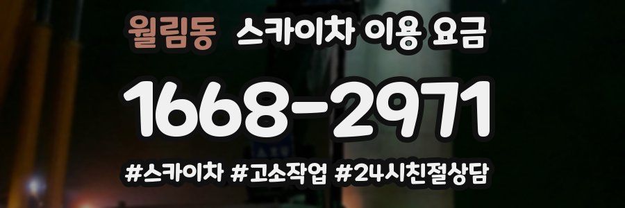 월림동 스카이차 이용 요금
