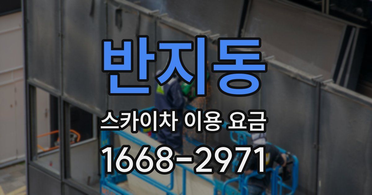 반지동 스카이차 이용 요금