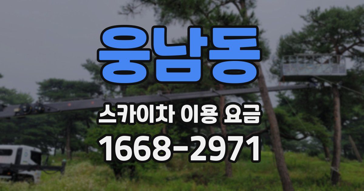 웅남동 스카이차 이용 요금
