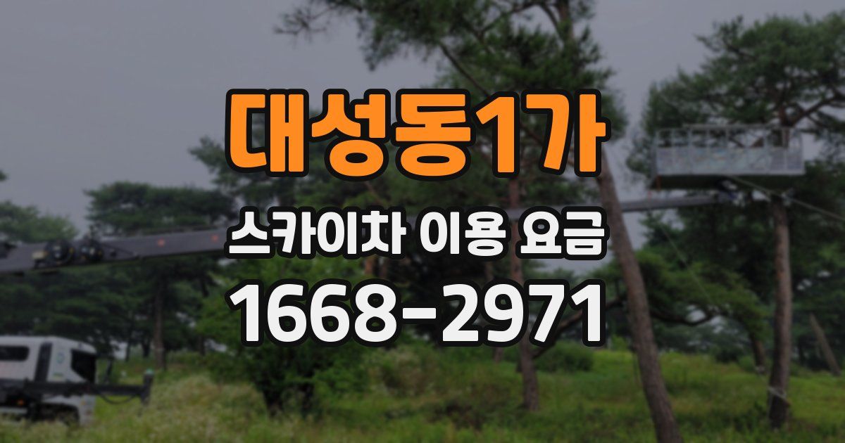 대성동1가 스카이차 이용 요금