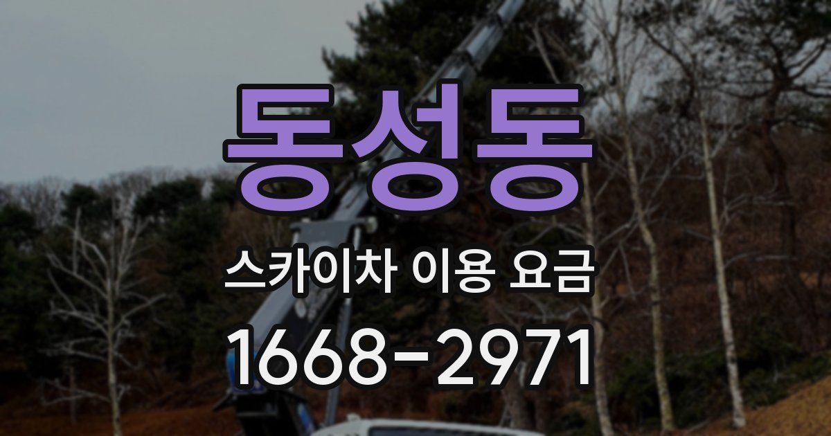 동성동 스카이차 이용 요금