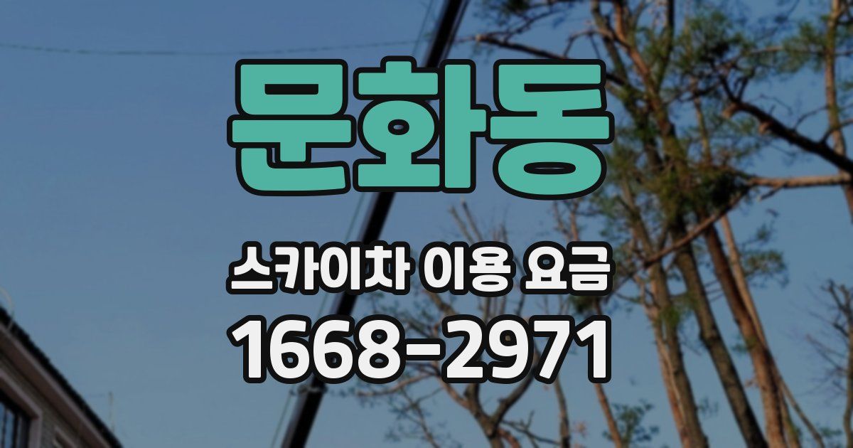문화동 스카이차 이용 요금