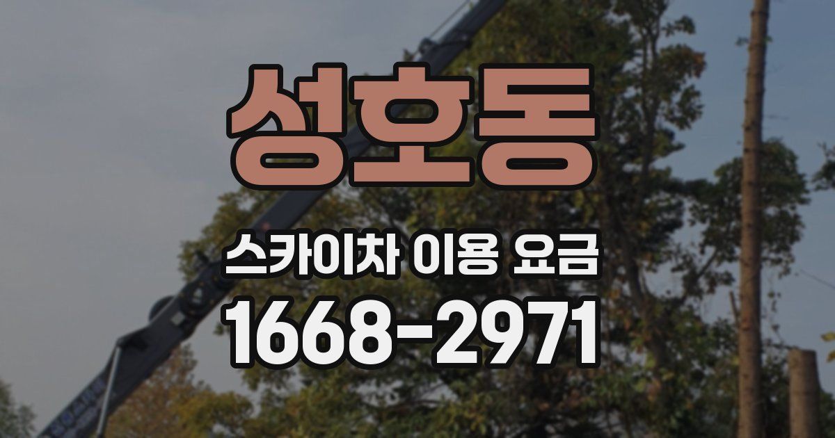 성호동 스카이차 이용 요금