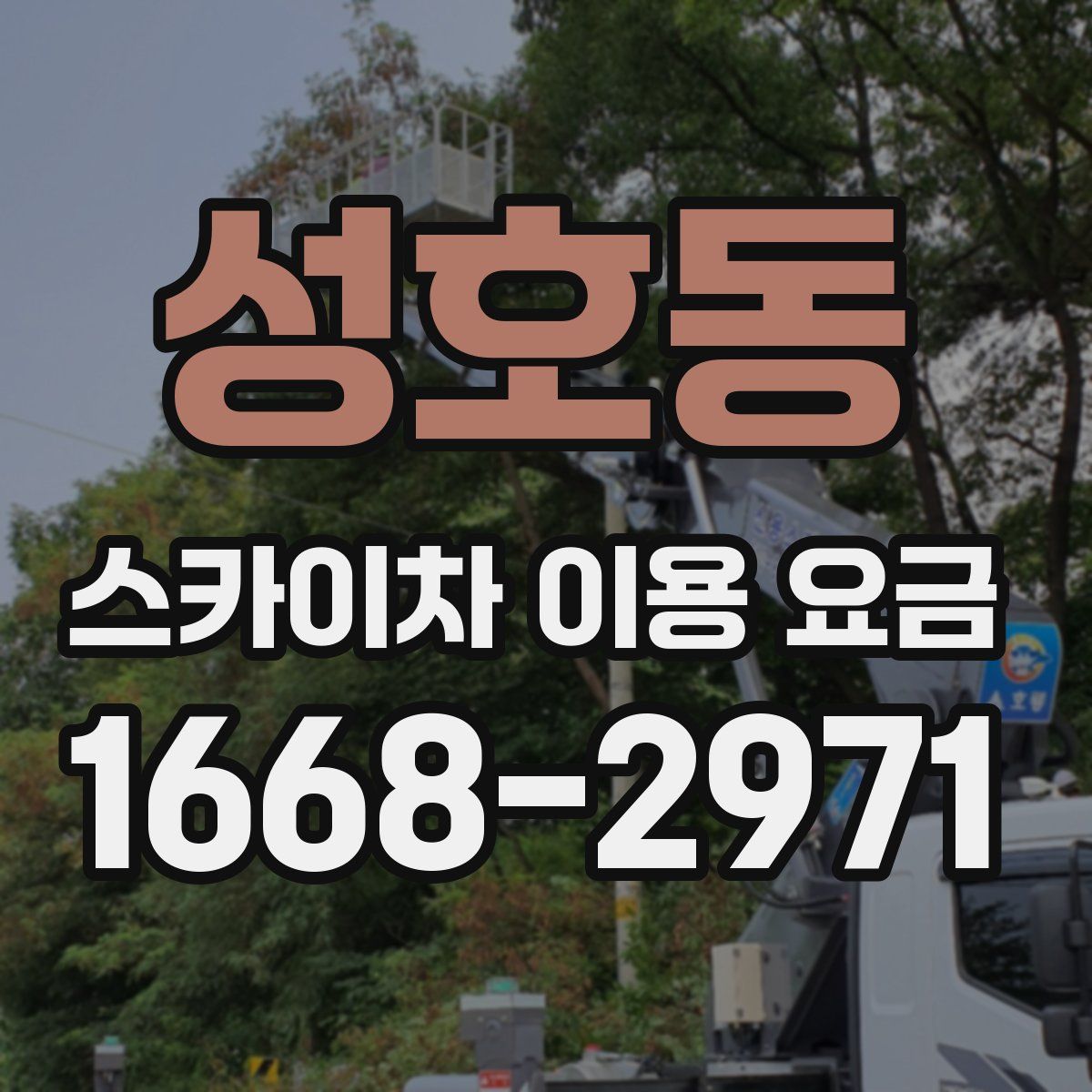 성호동 스카이차 이용 요금
