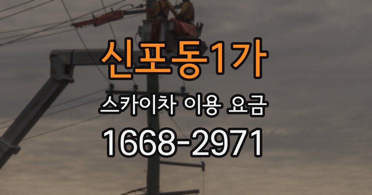 신포동1가 스카이차 이용 요금