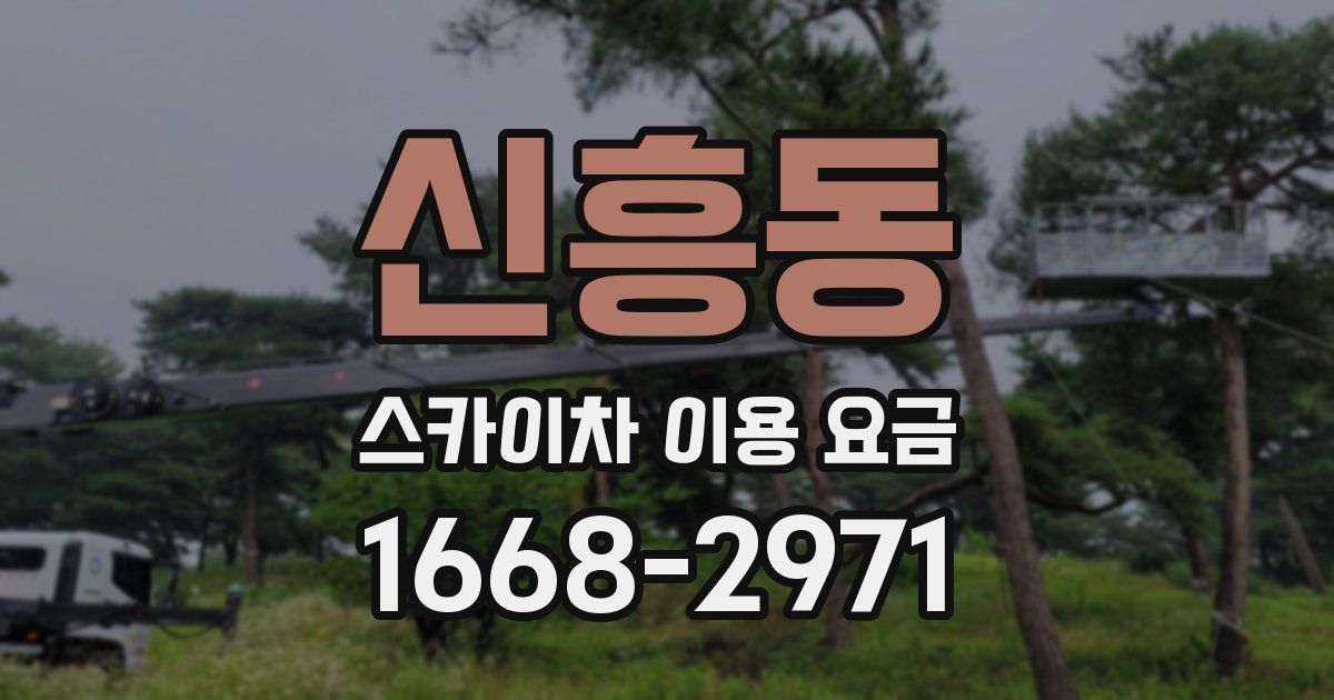 신흥동 스카이차 이용 요금