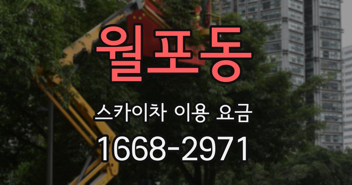 월포동 스카이차 이용 요금