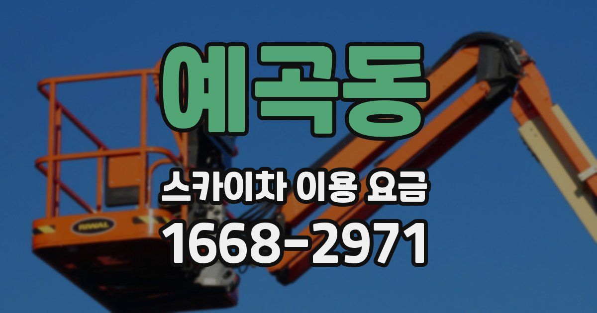 예곡동 스카이차 이용 요금