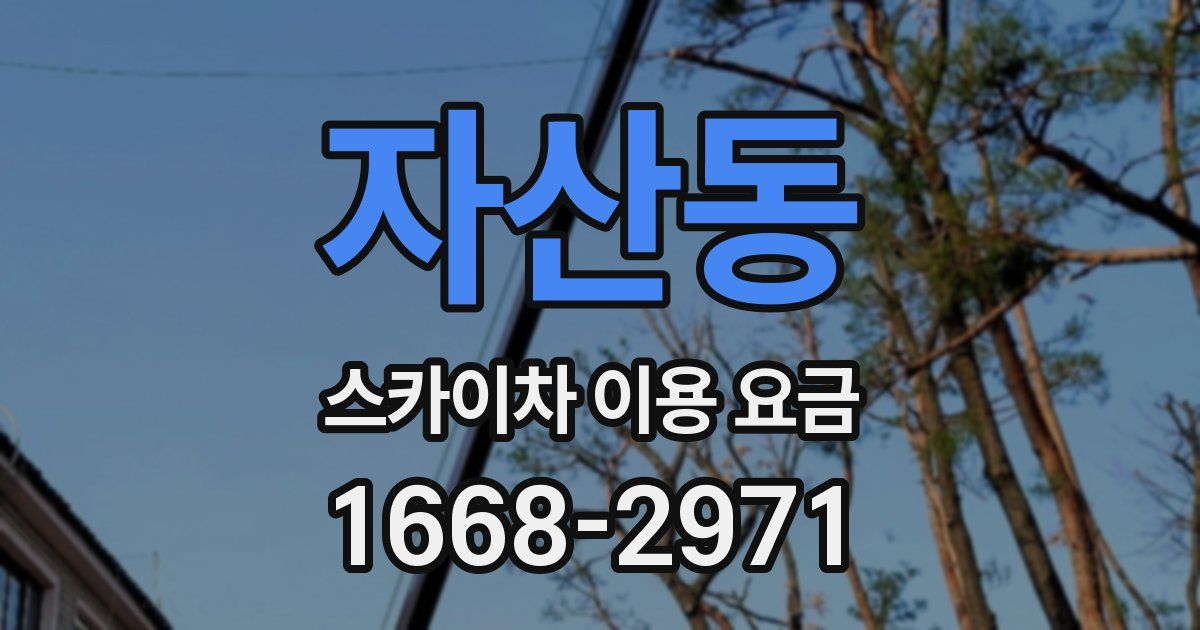 자산동 스카이차 이용 요금