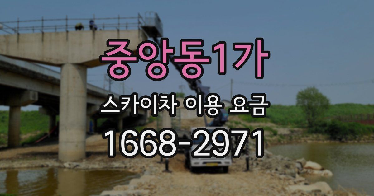 중앙동1가 스카이차 이용 요금