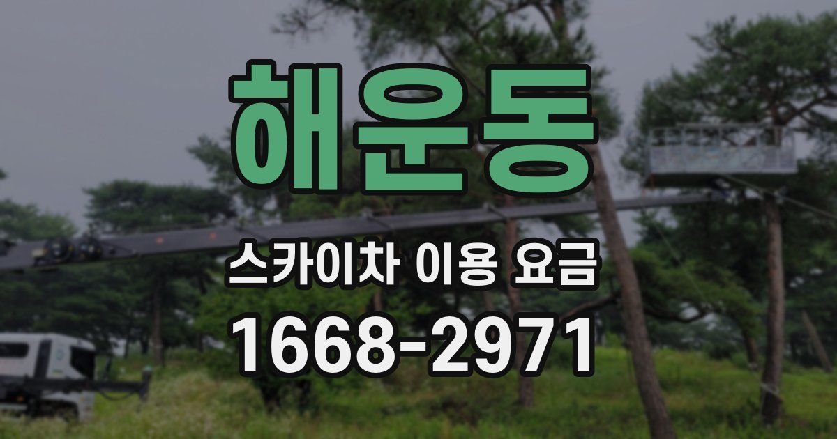해운동 스카이차 이용 요금