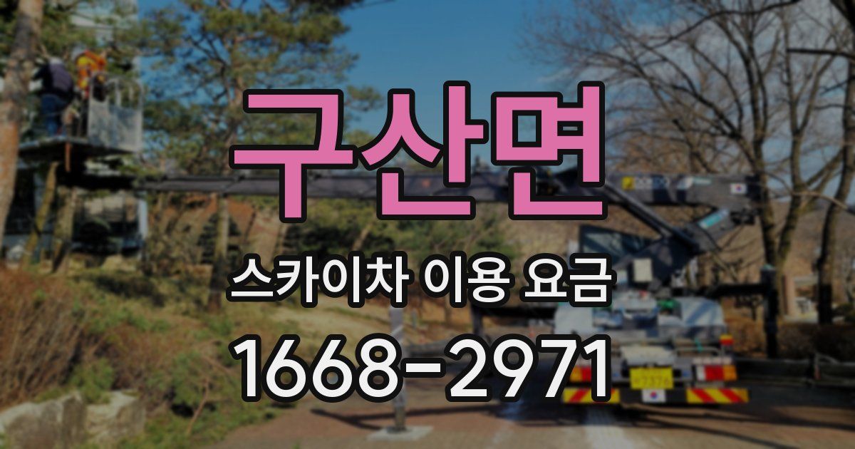 구산면 스카이차 이용 요금