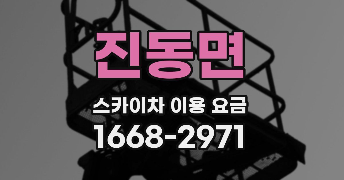 진동면 스카이차 이용 요금