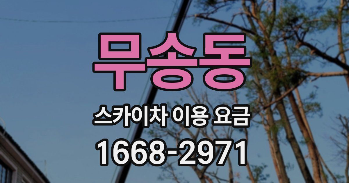 무송동 스카이차 이용 요금