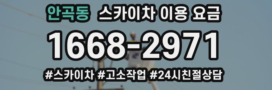 안곡동 스카이차 이용 요금