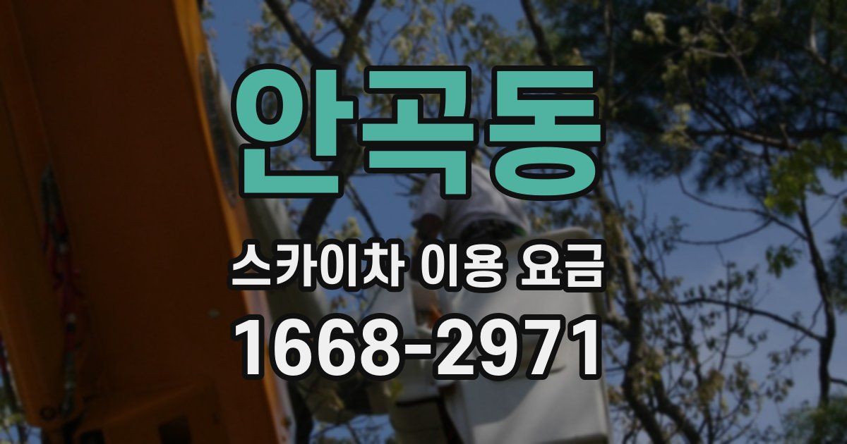 안곡동 스카이차 이용 요금