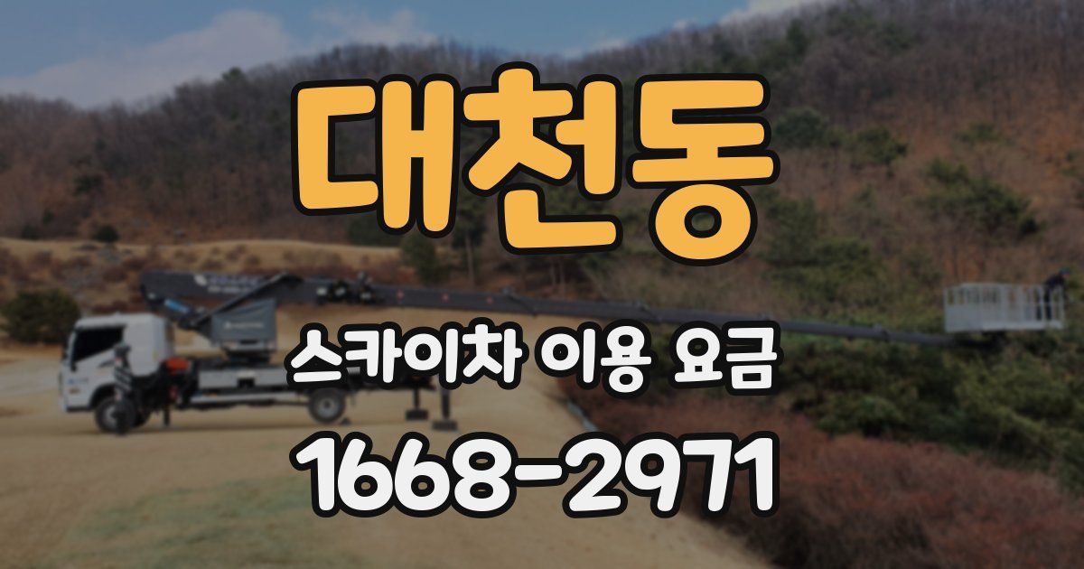 대천동 스카이차 이용 요금