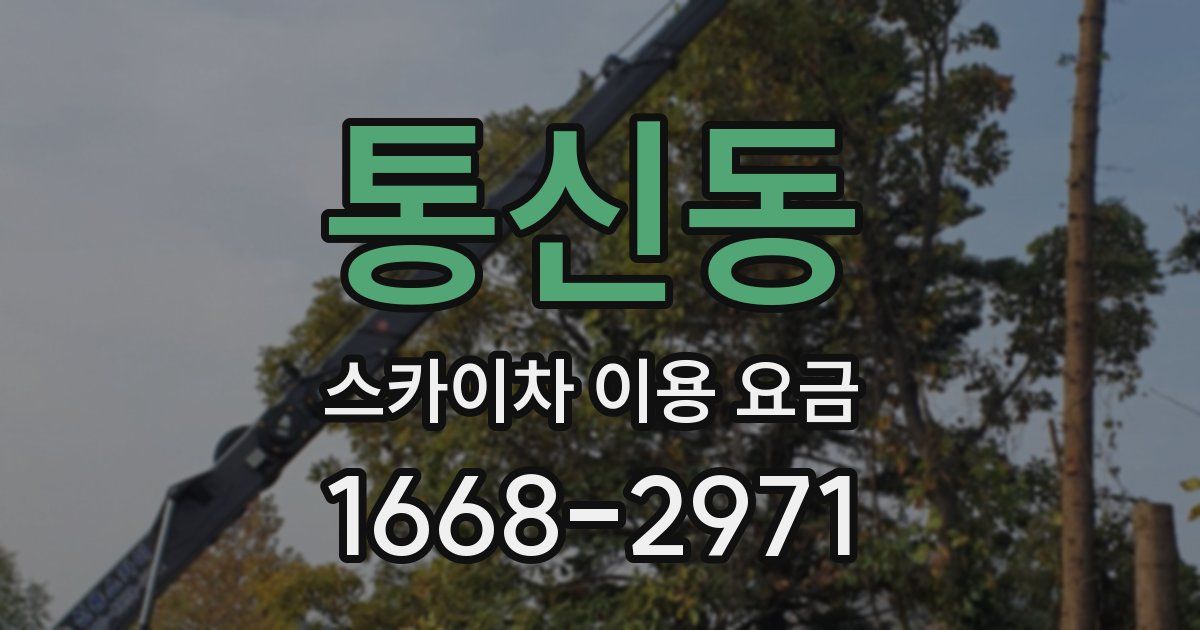 통신동 스카이차 이용 요금
