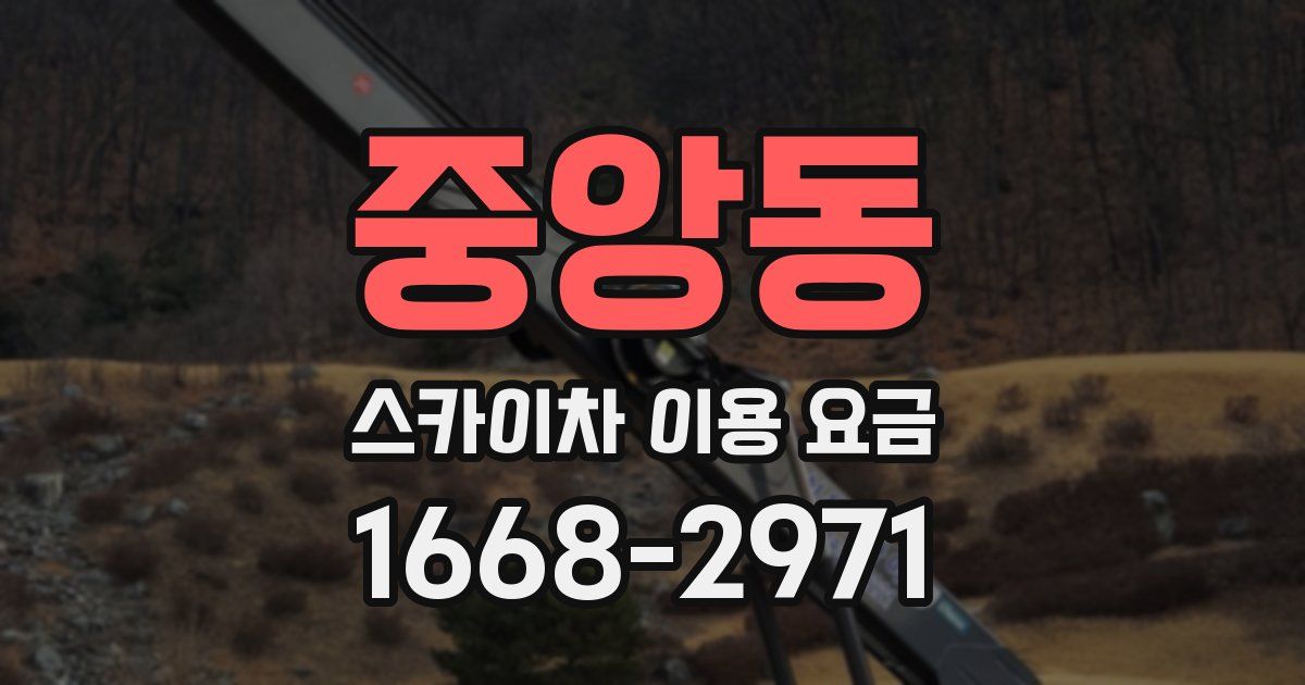 중앙동 스카이차 이용 요금