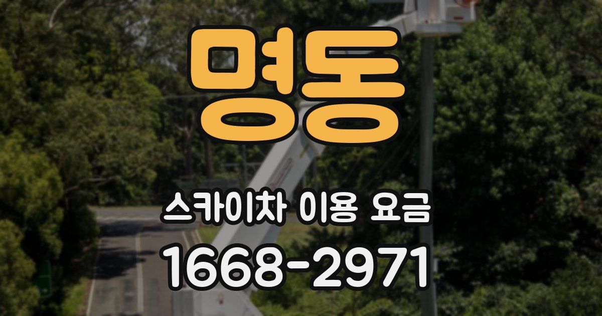 명동 스카이차 이용 요금
