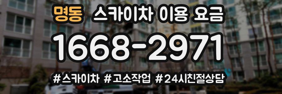 명동 스카이차 이용 요금