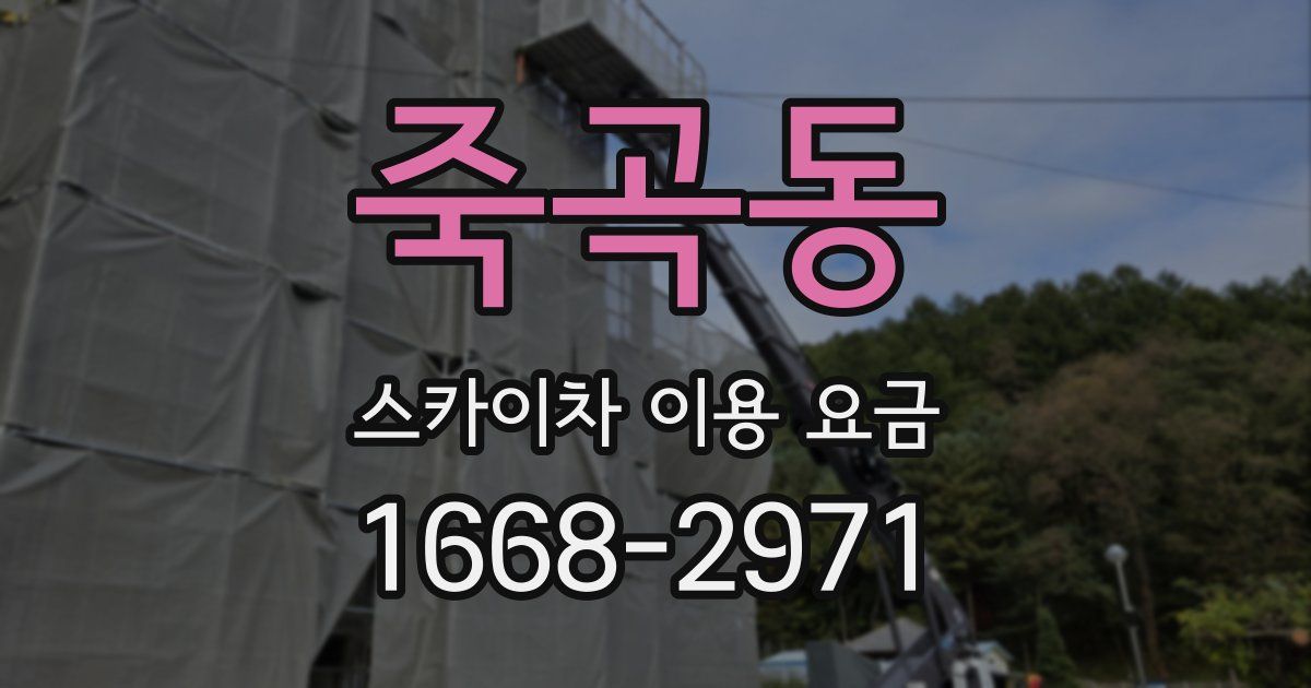 죽곡동 스카이차 이용 요금