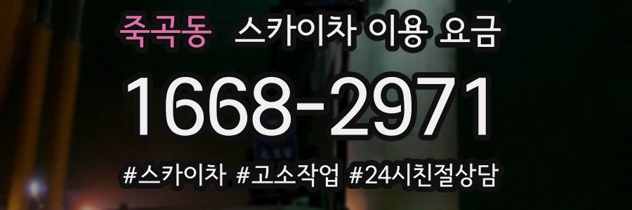 죽곡동 스카이차 이용 요금