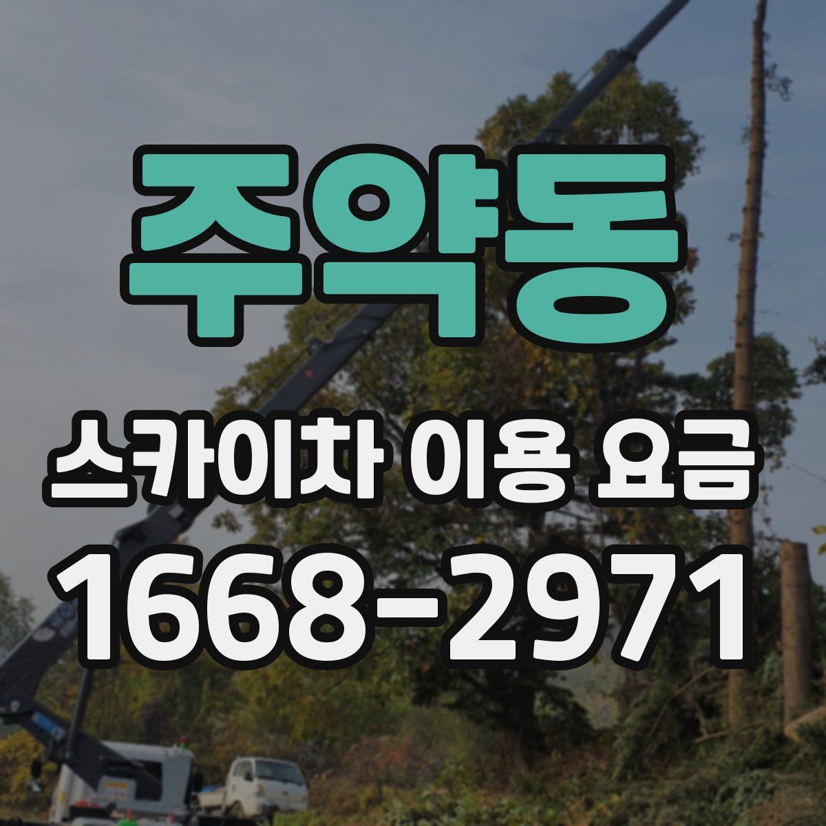주약동 스카이차 이용 요금