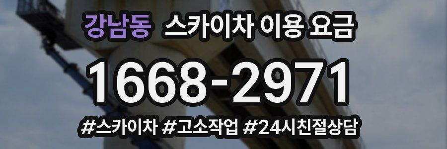 강남동 스카이차 이용 요금