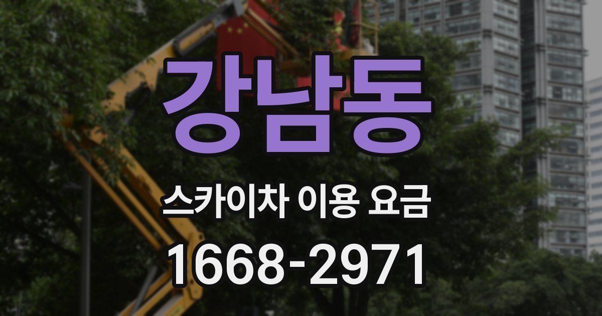 강남동 스카이차 이용 요금