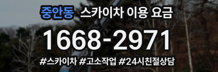 중안동 스카이차 이용 요금